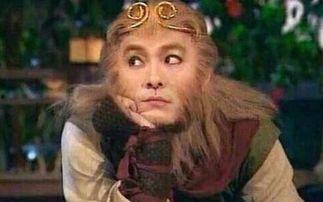 张卫健版西游记演员表,经典角色齐聚，演绎传奇冒险之旅