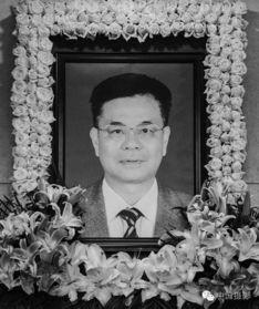 陈仲伟照片,镜头下的坚韧与温情