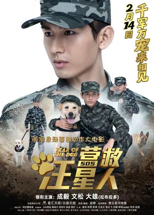 电影营救汪星人演员表,众星云集，共筑感人救援传奇