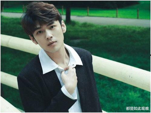 盛英豪演员个人资料,多才多艺的影视新星，演艺事业璀璨绽放