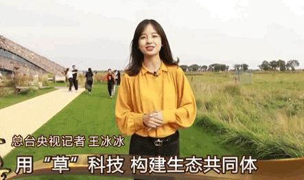 网红大原,网红崛起，揭秘网络红人的魅力与影响力