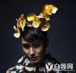 凌峰个人资料非常完美,完美人生，成就非凡传奇