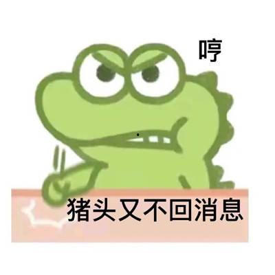 鳄鱼表情包,趣味横生的网络文化现象