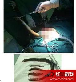 女主播抓黄鳝视频